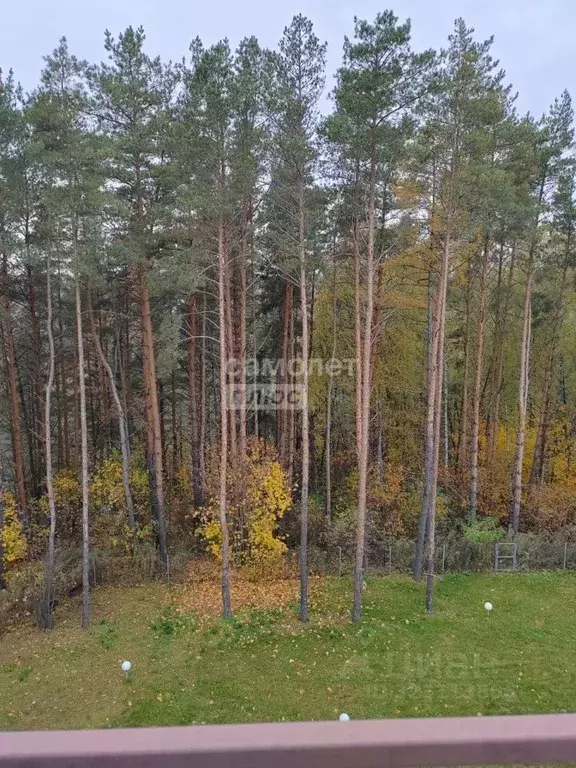 2-к кв. Орловская область, Орловский район, д. Некрасовка пер. ... - Фото 2