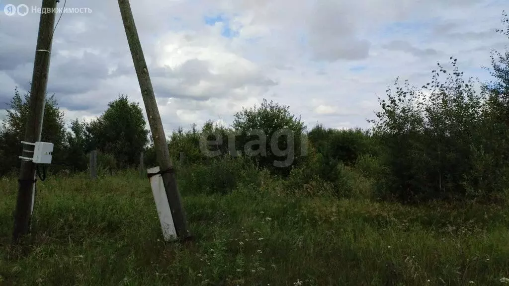Участок в Свердловская область, Тугулымский муниципальный округ, село ... - Фото 2