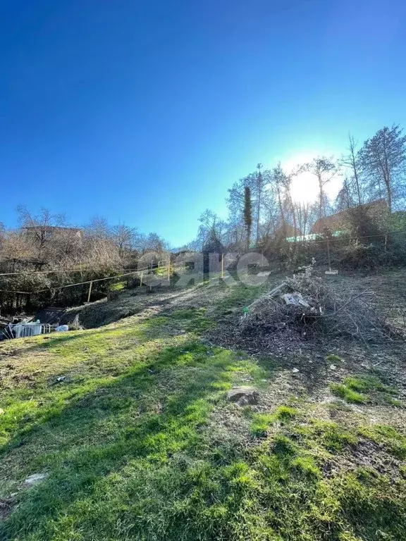 Участок в Краснодарский край, Сочи городской округ, с. Васильевка ул. ... - Фото 2