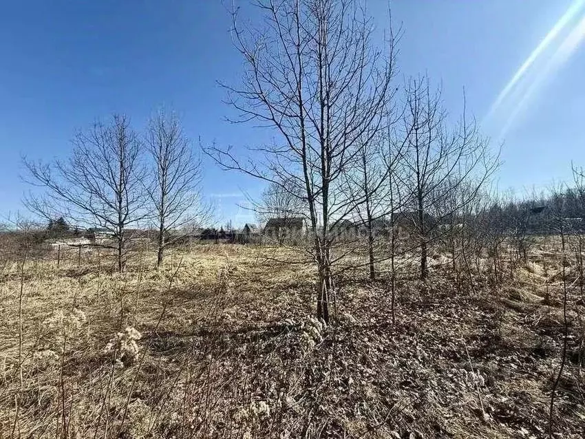 Участок в Новгородская область, Новгородский муниципальный район, ... - Фото 2
