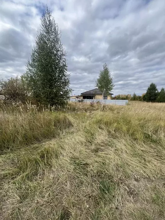 Участок в Курская область, Курск Авиатор-2 ДНТ, 61 (6.0 сот.) - Фото 2