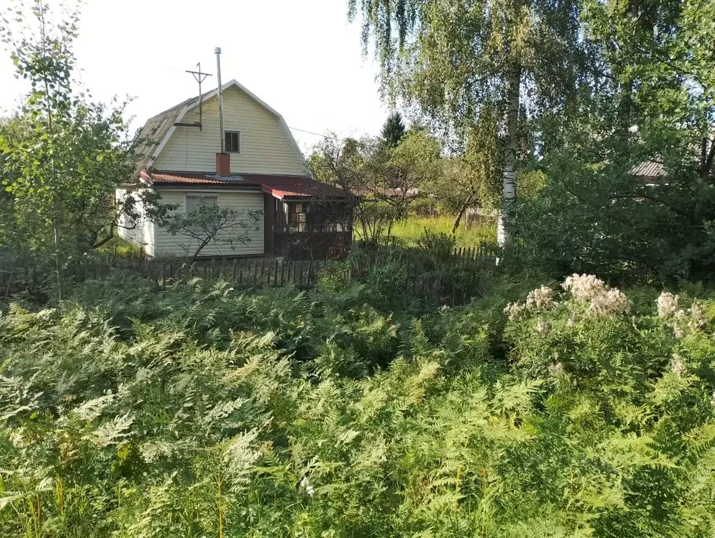 Дом в Ленинградская область, Кировское городское поселение, Грибное ... - Фото 1