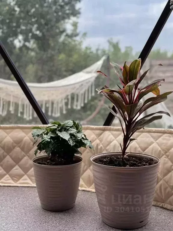 Дом в Московская область, Коломна Восход-2 садовое товарищество, 1с1 ... - Фото 2