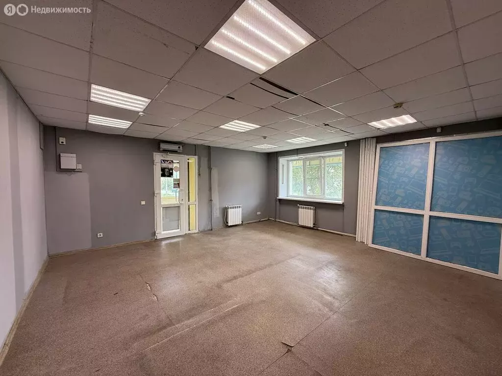 Торговая площадь (42.5 м) - Фото 2