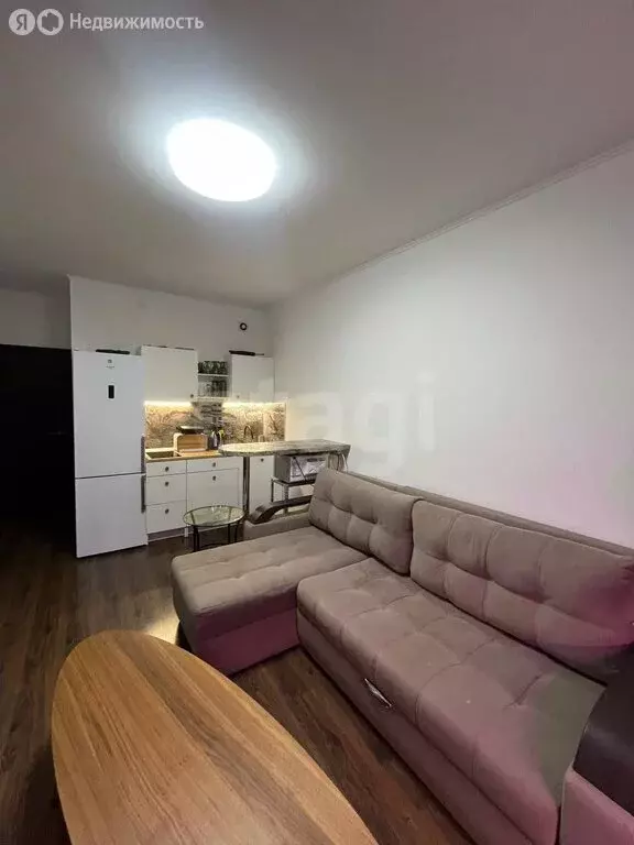 Квартира-студия: Санкт-Петербург, Плесецкая улица, 20к1 (23.9 м) - Фото 0