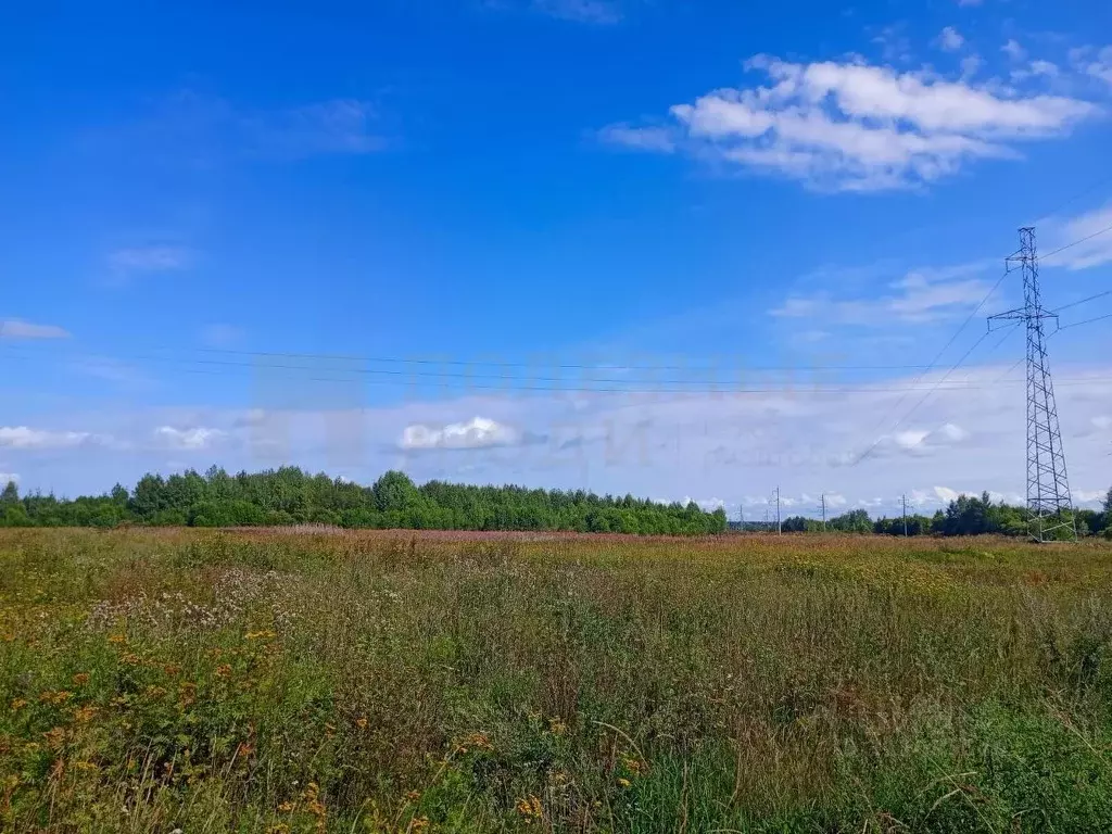 Участок в Новгородская область, Боровичский район, Прогресское с/пос, ... - Фото 0