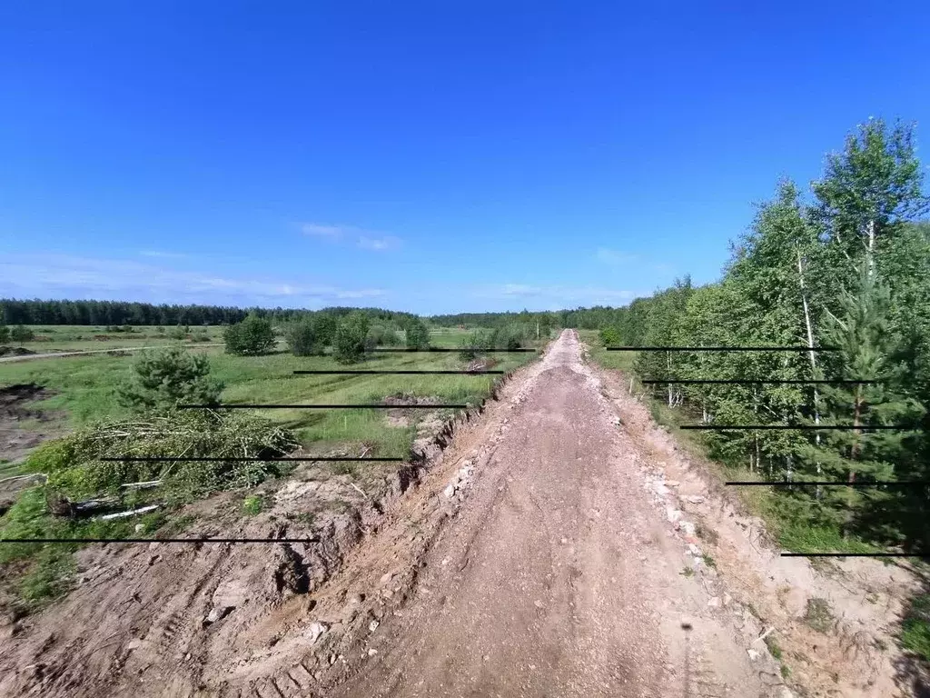 Участок в Тюменская область, Нижнетавдинский район, Царицыно СНТ  (7.0 ... - Фото 0