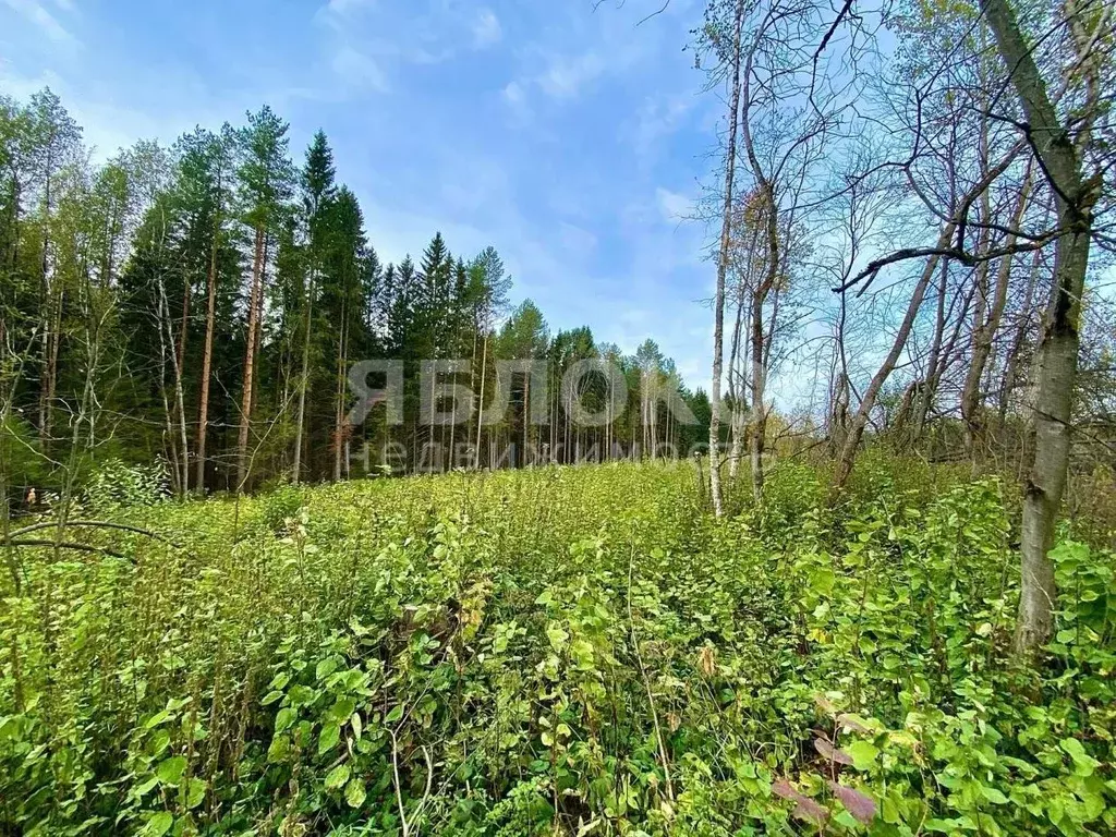 Участок в Пермский край, Березники ул. Александра Носкова, 6 (14.5 ... - Фото 0