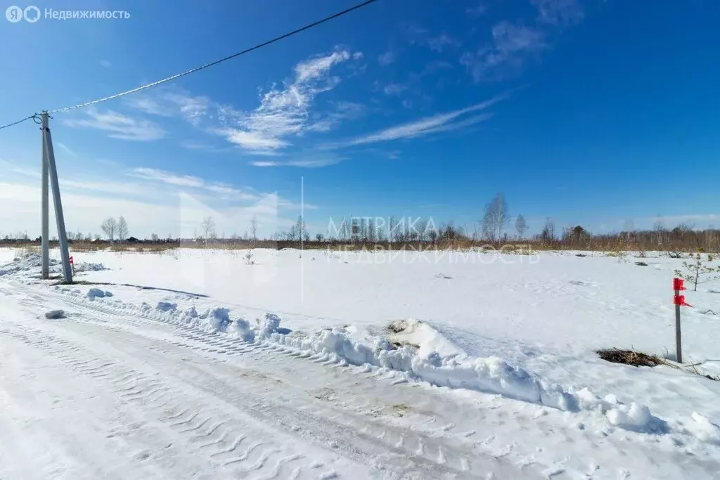 участок в тюмень, садовое товарищество липовый остров, 11-я западная . - Фото 1