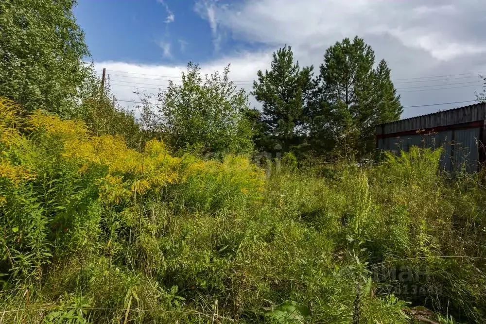 Участок в Кемеровская область, Новокузнецкий муниципальный округ, с. ... - Фото 1