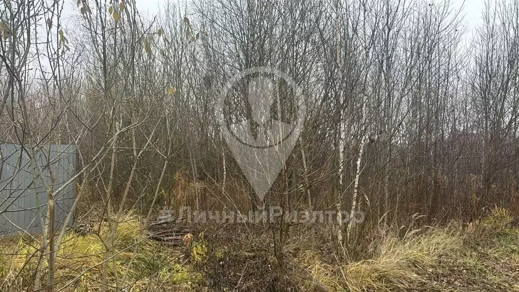 Участок в Рязанская область, Рязанский муниципальный округ, д. Рубцово ... - Фото 2