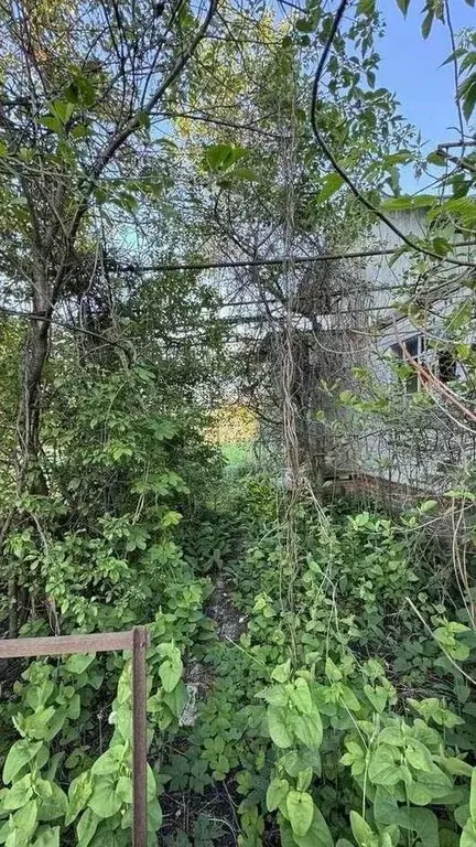Дом в Белгородская область, Белгородский район, Северный городское ... - Фото 1