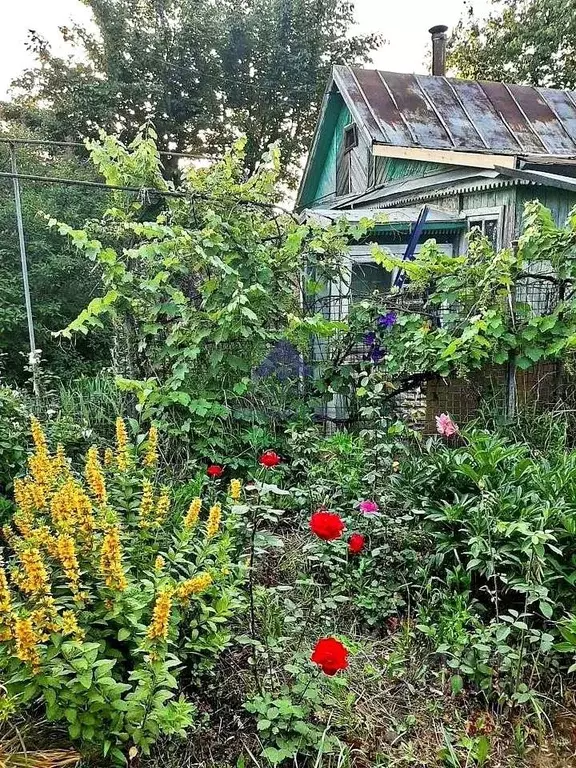 Дом в Ростовская область, Волгодонск В-Б кв-л,  (20 м) - Фото 1