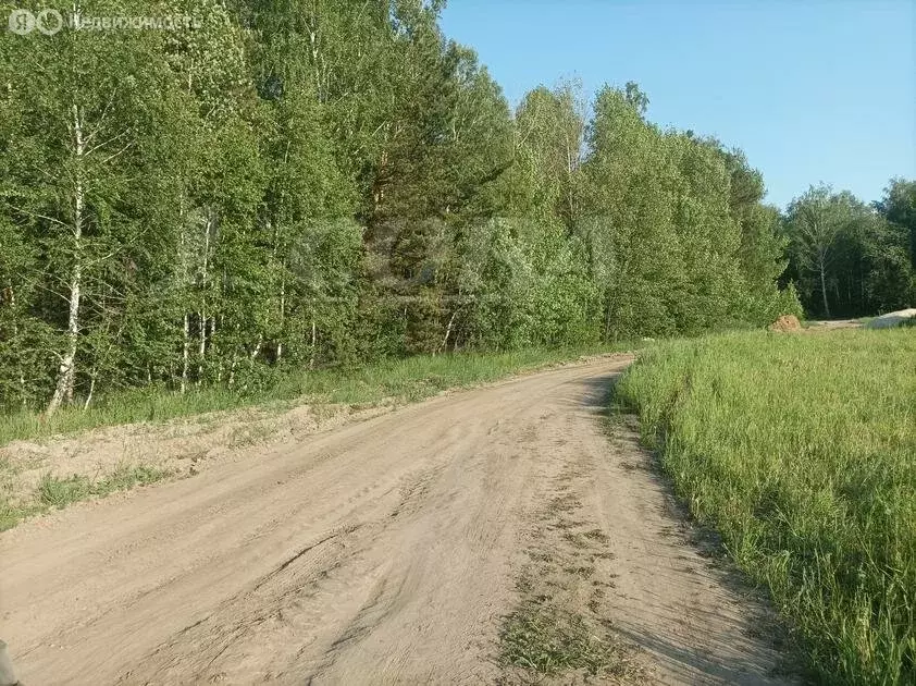 Участок в Тюменский район, деревня Падерина (8 м) - Фото 0