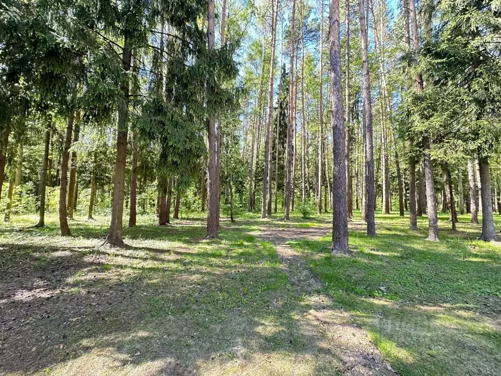 Участок в Московская область, Одинцовский городской округ, д. Барвиха  ... - Фото 1