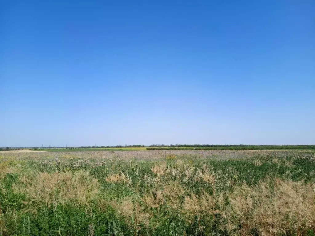 Участок, 5 сот., сельхоз (снт или днп) - Фото 0