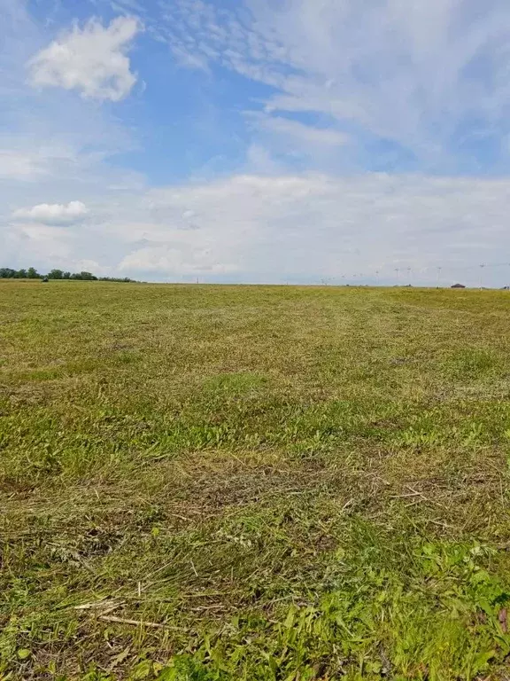 Участок в Башкортостан, Стерлитамакский район, Отрадовский сельсовет, ... - Фото 2