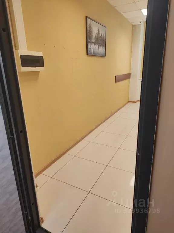 Офис в Воронежская область, Воронеж Никитинская ул., 42 (18 м) - Фото 2