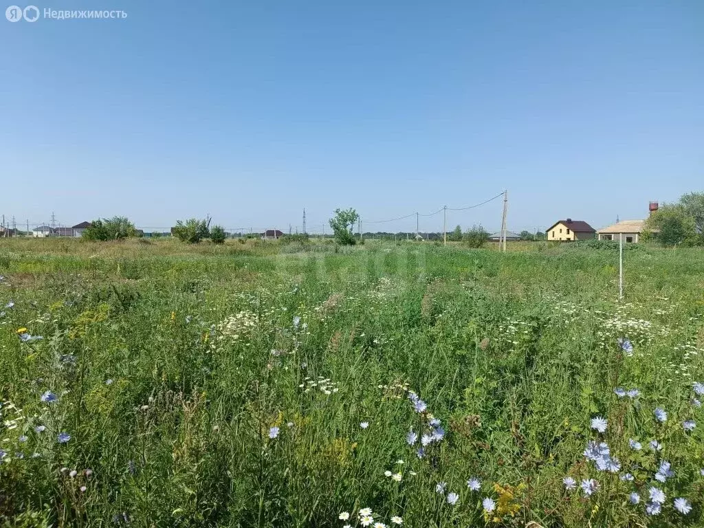 Участок в Мичуринск, Рябиновая улица (8 м) - Фото 1