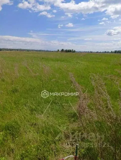 Участок в Новосибирская область, Новосибирский район, с. Верх-Тула, ... - Фото 0