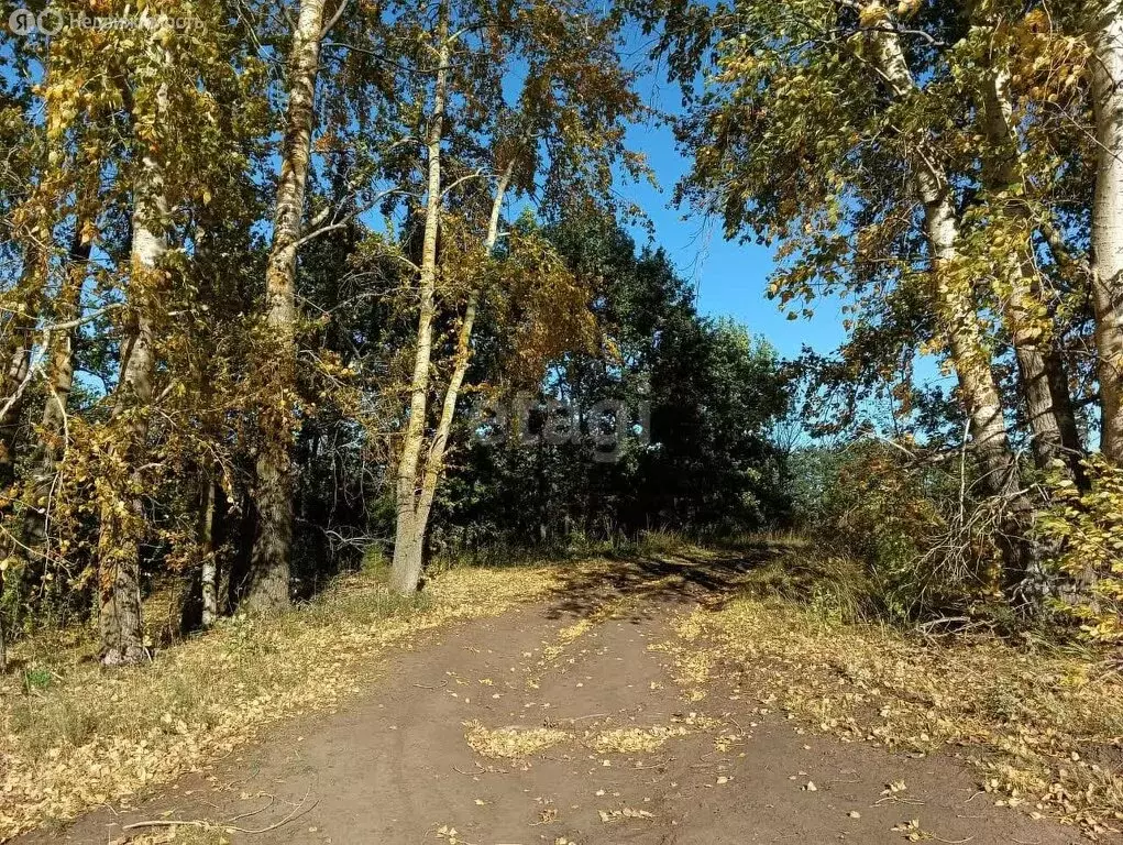 Участок в Лямбирский район, Берсеневское сельское поселение, село ... - Фото 0