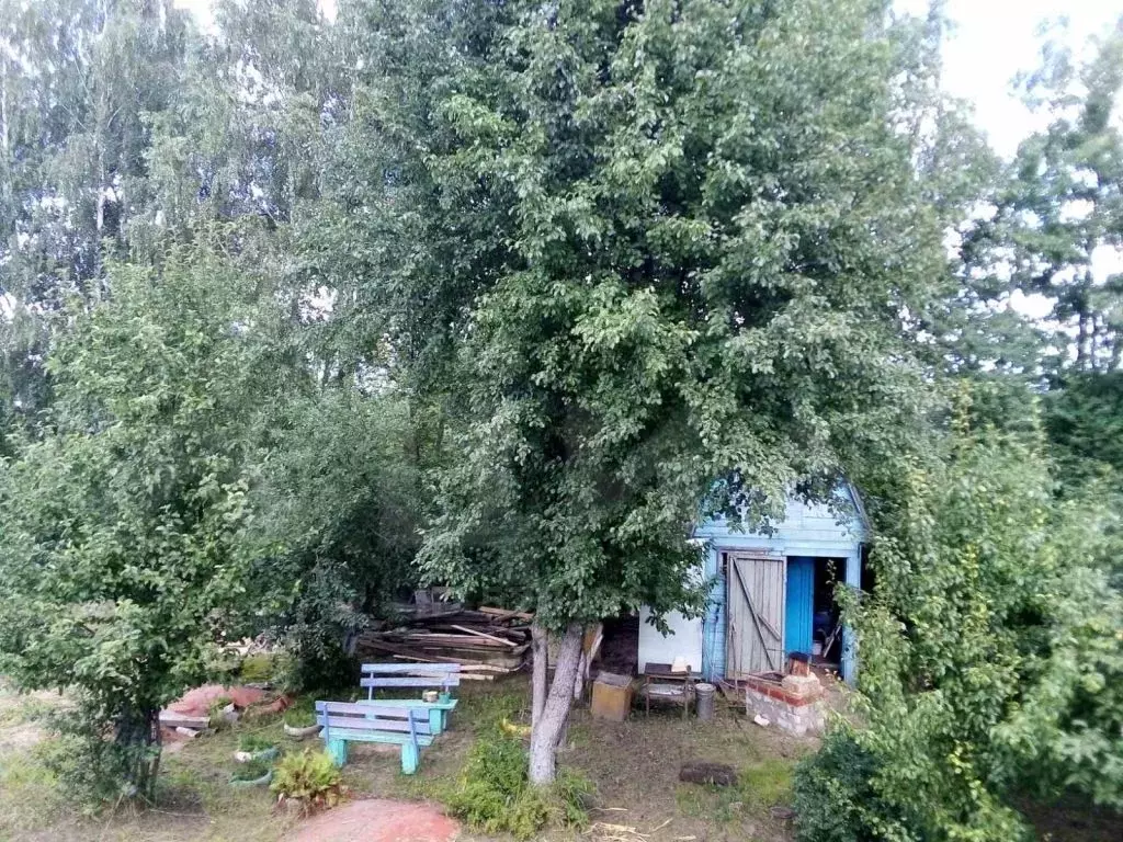 Нижний новгород садоводческое товарищество. СНТ треугольник Нижний Новгород. СНТ треугольник Нижегородская область.