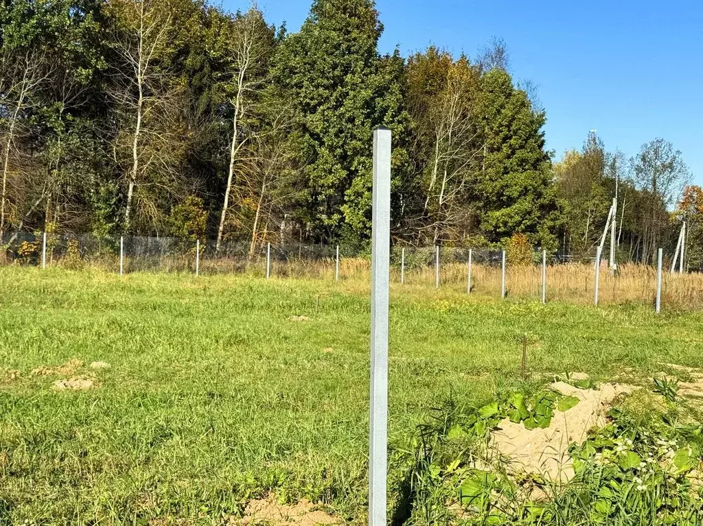 Участок в Московская область, Дмитровский муниципальный округ, ... - Фото 2