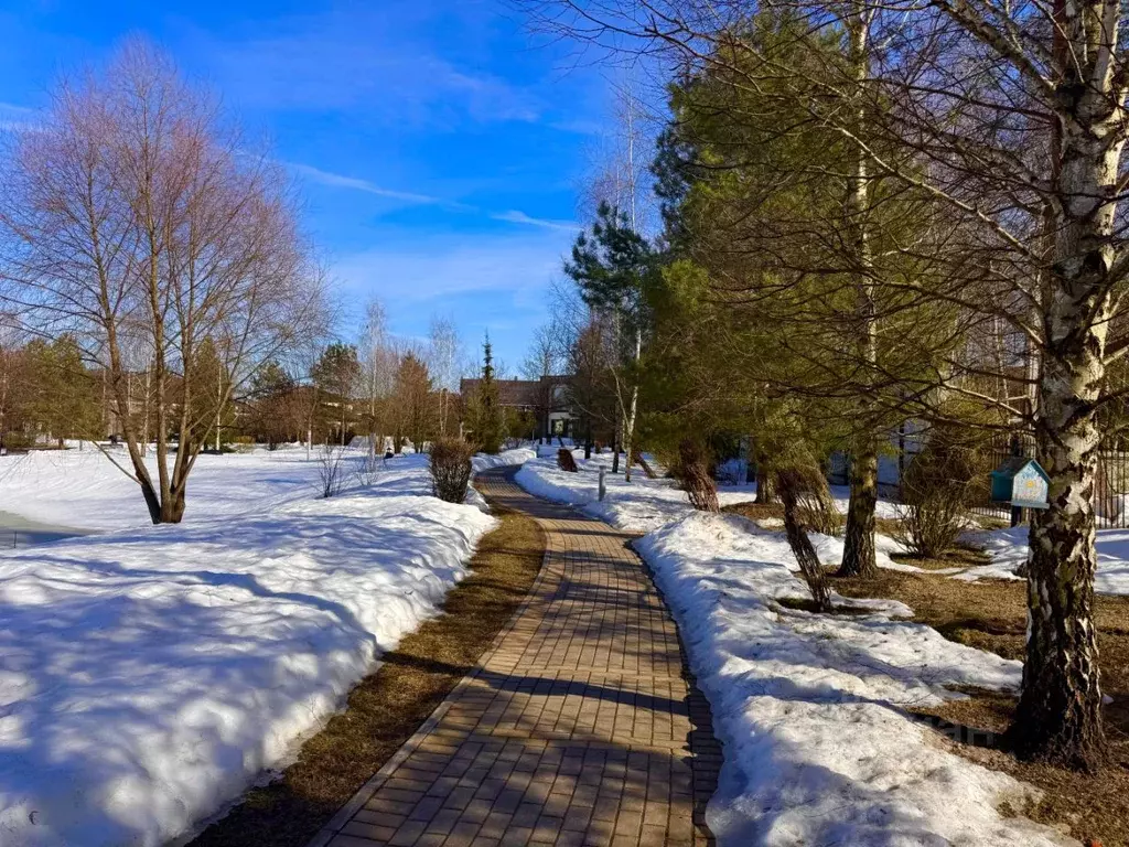 Участок в Московская область, Истра муниципальный округ, д. Покровское ... - Фото 2