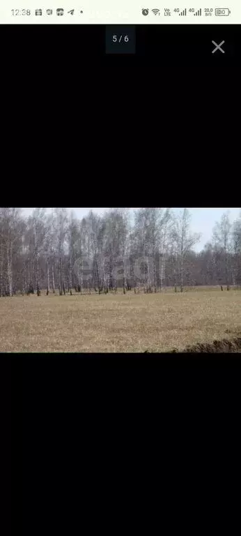 Участок в Новосибирский район, Морской сельсовет, ТСН Ближняя Дача ... - Фото 1