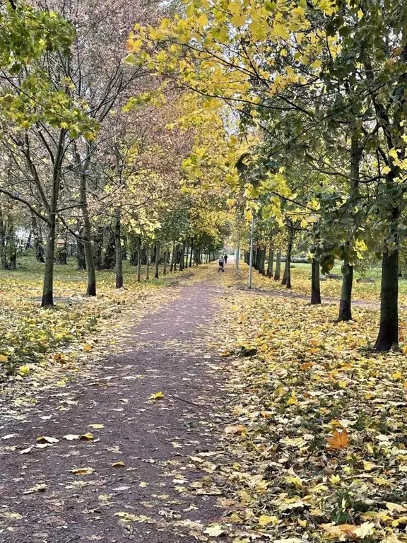 Студия Санкт-Петербург Пулковское ш., 14с6 (24.4 м) - Фото 2