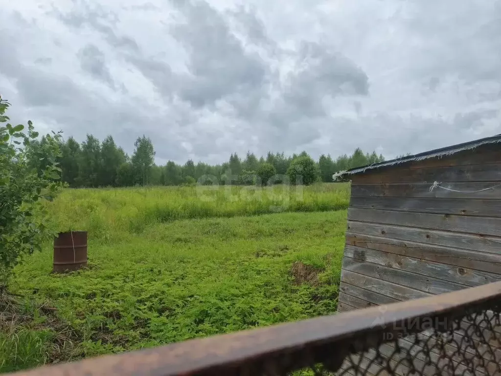 Дом в Ярославская область, Рыбинский муниципальный округ, д. Зиновьево ... - Фото 1