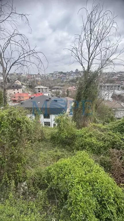 Участок в Краснодарский край, Сочи Альпийская ул., 102 (6.48 сот.) - Фото 2