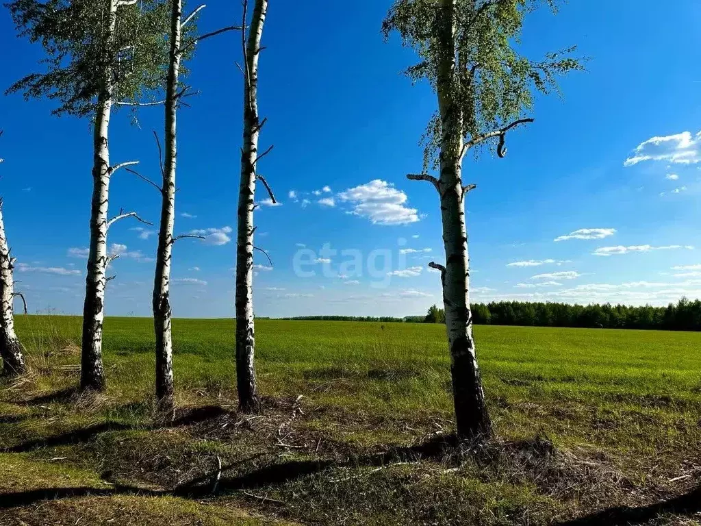 Участок в Нижегородская область, Кстовский муниципальный округ, с. ... - Фото 0