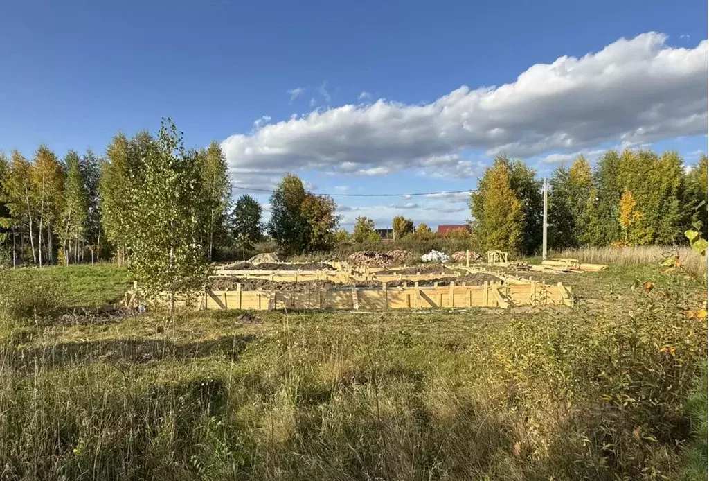 Участок в Новосибирская область, Новосибирский район, Станционный ... - Фото 1