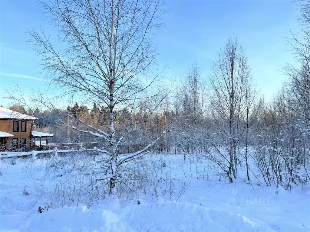 Участок в Московская область, Лобня Луговая мкр, Флотский пер. (10.3 ... - Фото 1