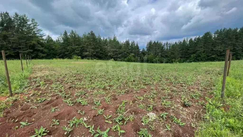 Участок в Башкортостан, Бирск ул. Авроры (9.0 сот.) - Фото 2