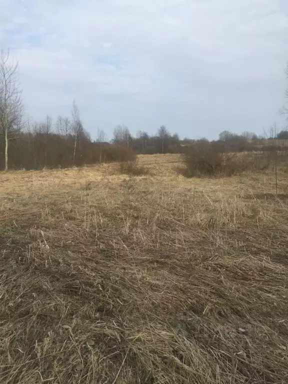 Участок в Псковская область, Псковский район, Краснопрудская волость  ... - Фото 2