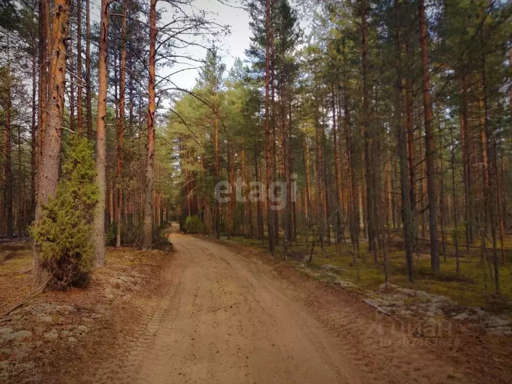 Участок в Вологодская область, Череповецкий район, Уломское с/пос, д. ... - Фото 0