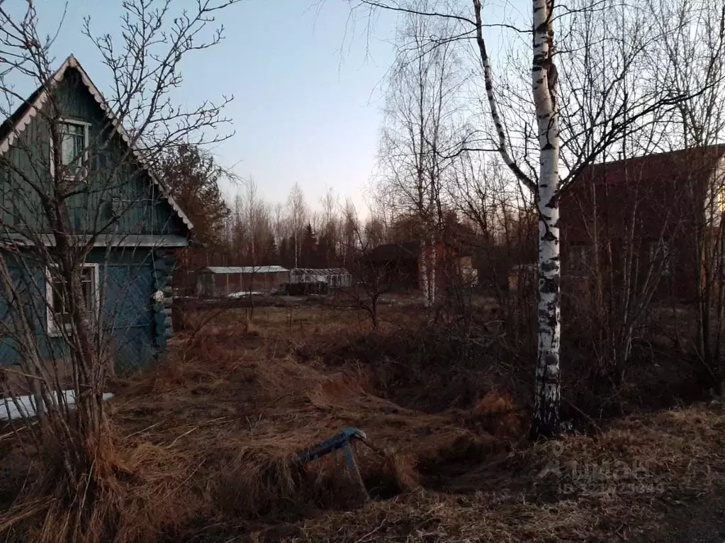 Участок в Ленинградская область, Киришский район, Кусинское с/пос, ... - Фото 2