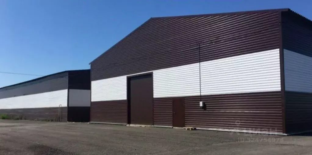 Склад в Ленинградская область, Тельмана Тосненский район, ул. ... - Фото 2