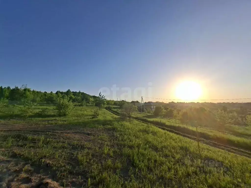 Участок в Пензенская область, Пензенский район, Засечный сельсовет, с. ... - Фото 2