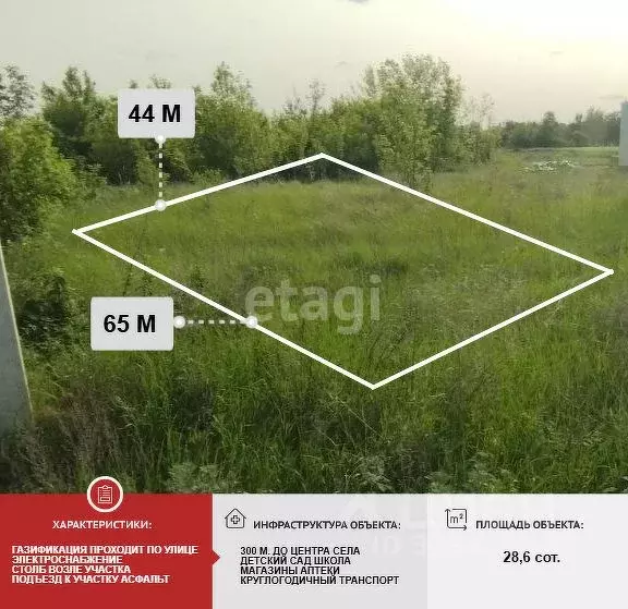 Участок в Белгородская область, Алексеевский муниципальный округ, с. ... - Фото 1