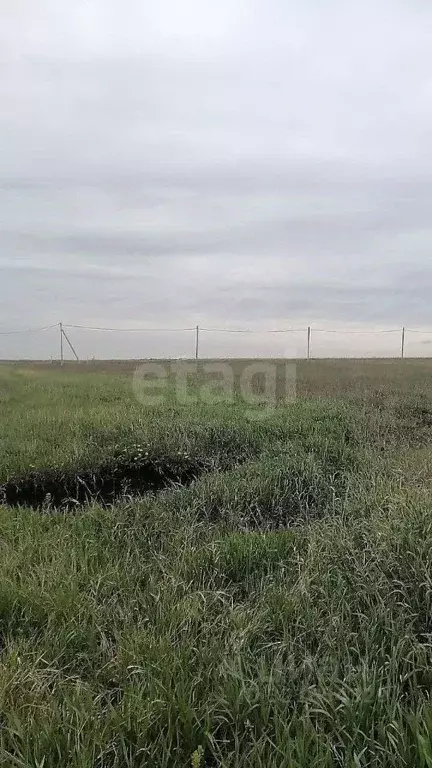 Участок в Белгородская область, Белгородский район, Головинское с/пос, ... - Фото 1