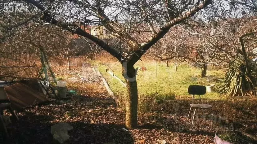 Участок в Севастополь Балаклавский муниципальный округ, СТ Фиолент ... - Фото 2