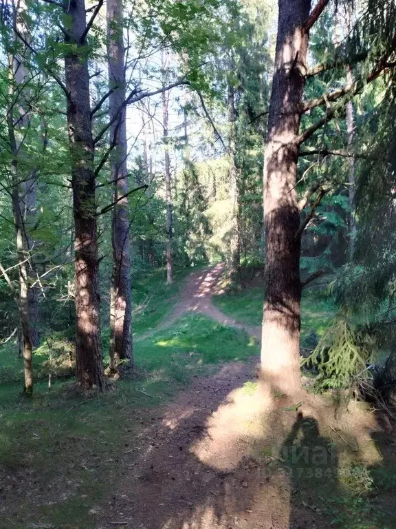 Дача, 32 м - Фото 0