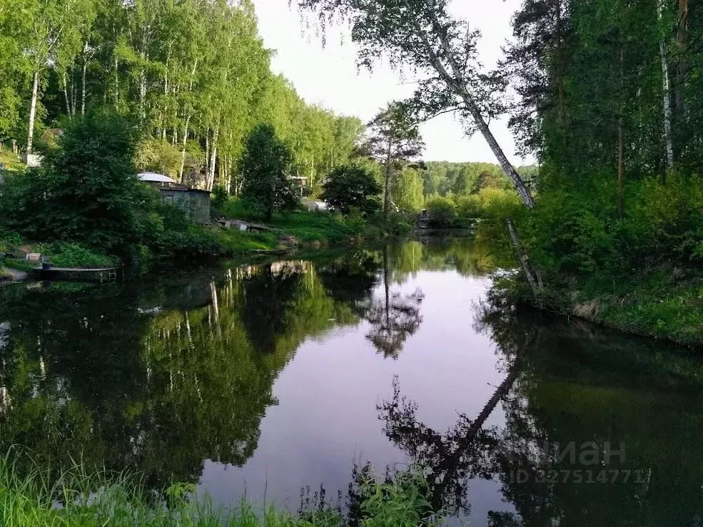 Участок в Новосибирская область, Новосибирский район, Барышевский ... - Фото 1