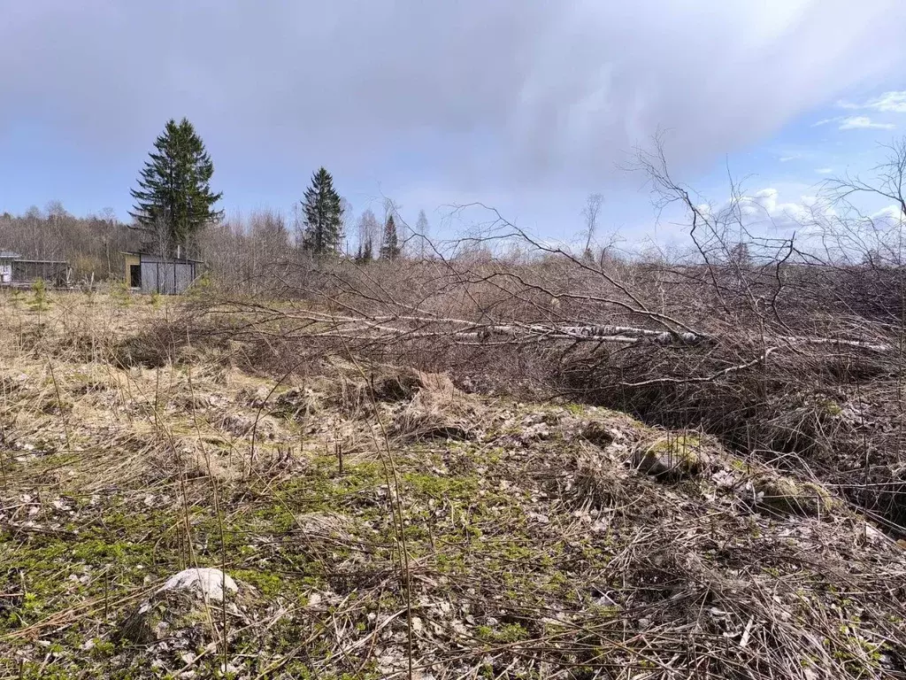 Участок в Карелия, Прионежский район, с. Деревянное ул. Весенняя (10.0 ... - Фото 0