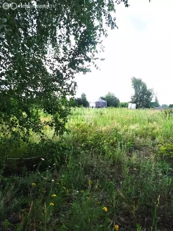 Участок в Омск (5 м) - Фото 1