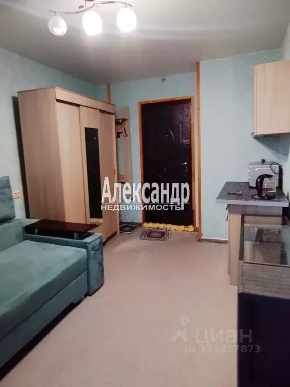 Комната Санкт-Петербург Дальневосточный просп., 24 (12.0 м) - Фото 1