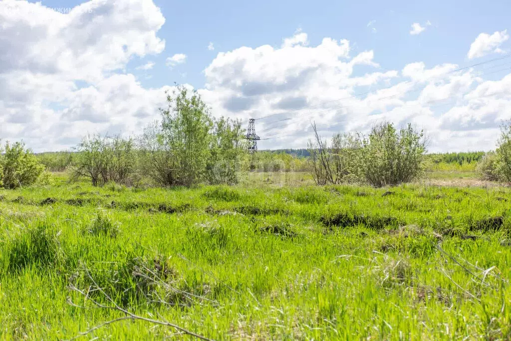 Участок в Тобольск, микрорайон Иртышский (9.1 м) - Фото 0